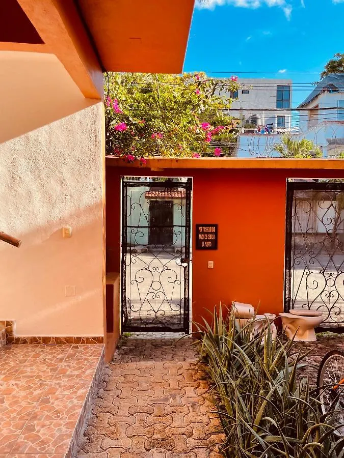 Anana Coliving Hotel Playa del Carmen Fogadó