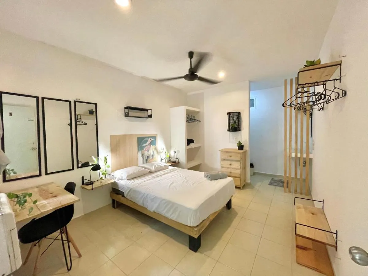 אורחן מלון פלאייה דל כרמן Anana Coliving מקסיקו